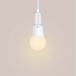 A19 LED Bulb