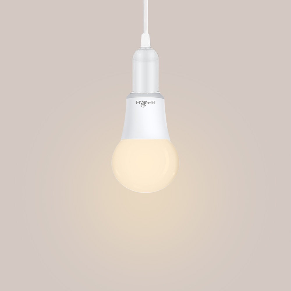 A19 LED Bulb