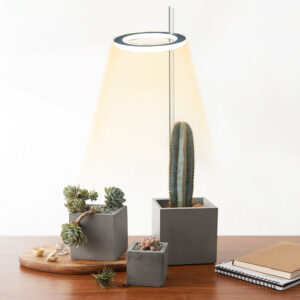 Angel Plant Grow Light