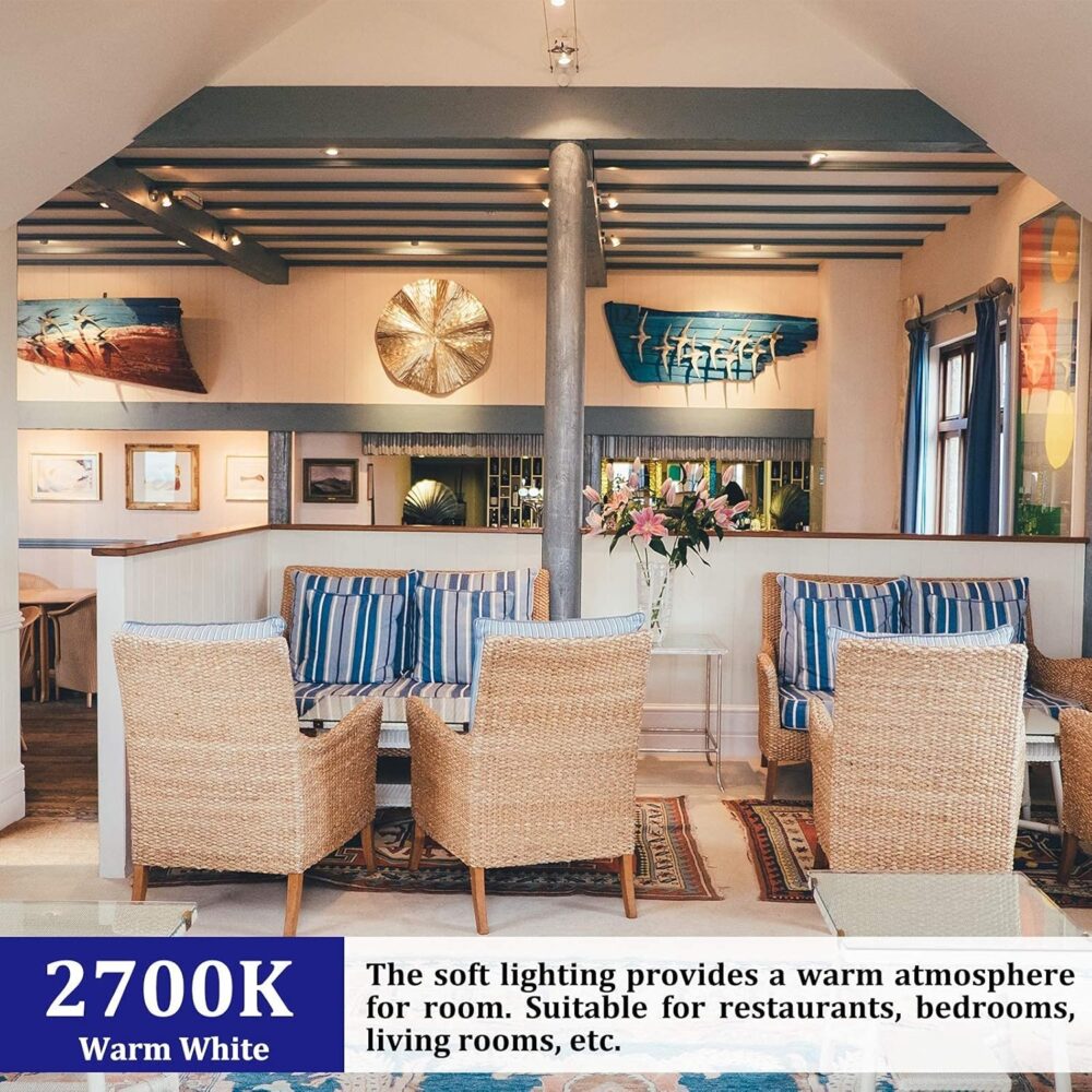 Par38 LED Flood Light Bulbs