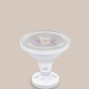 Par38 LED Flood Light Bulbs