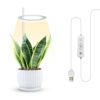 Angel Plant Grow Light