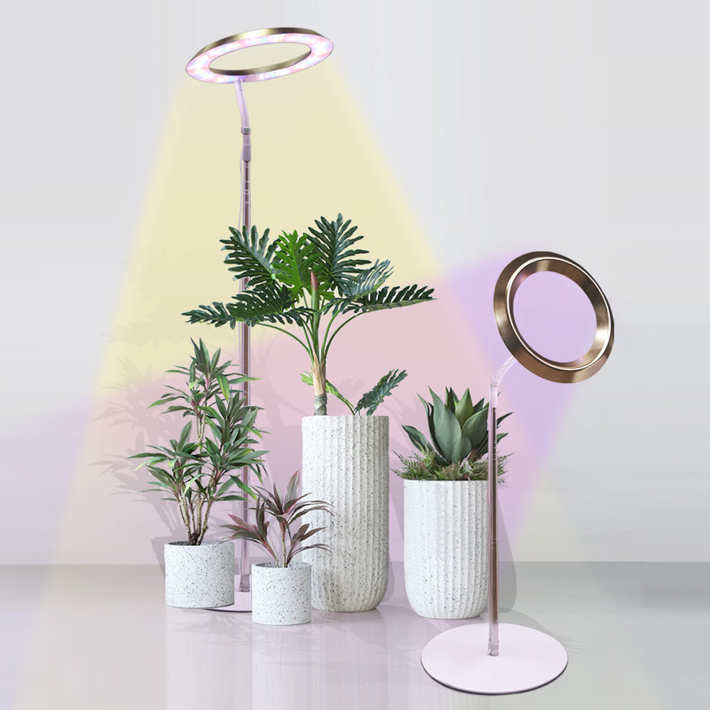 Halo Plant Fill Light