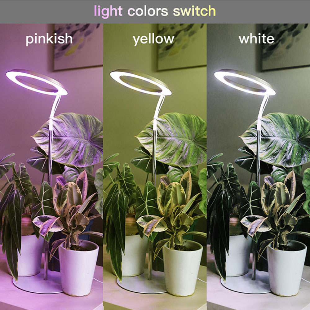 Halo Plant Fill Light