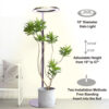 Halo Plant Fill Light