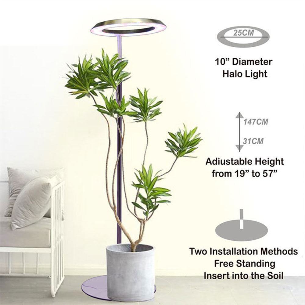 Halo Plant Fill Light