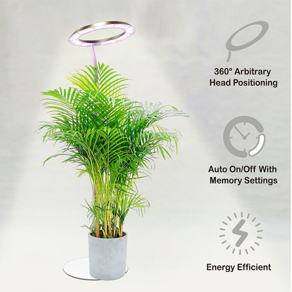 Halo Plant Fill Light