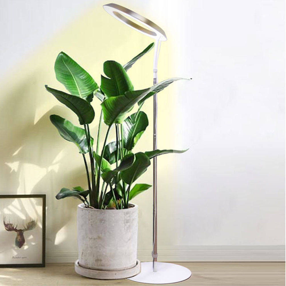 Halo Plant Fill Light